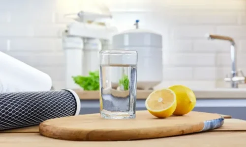 Можно ли пить воду из фильтра без кипячения?